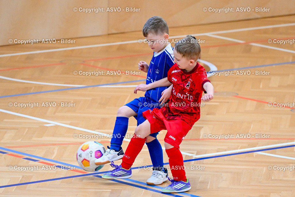 ASVÖ_ Fussball Nachwuchs Hallenturnier 2026_ SV Gallneukirchen_ 28.02.2026-310 | 28.02.2026, Gallneukirchen, AUT, ASVÖ, Fussball Nachwuchs Hallenturnier 2026, SV Gallneukirchen im Bild Teilnehmer U7©Harald Dostal / fodo.media - Realisiert mit Pictrs.com