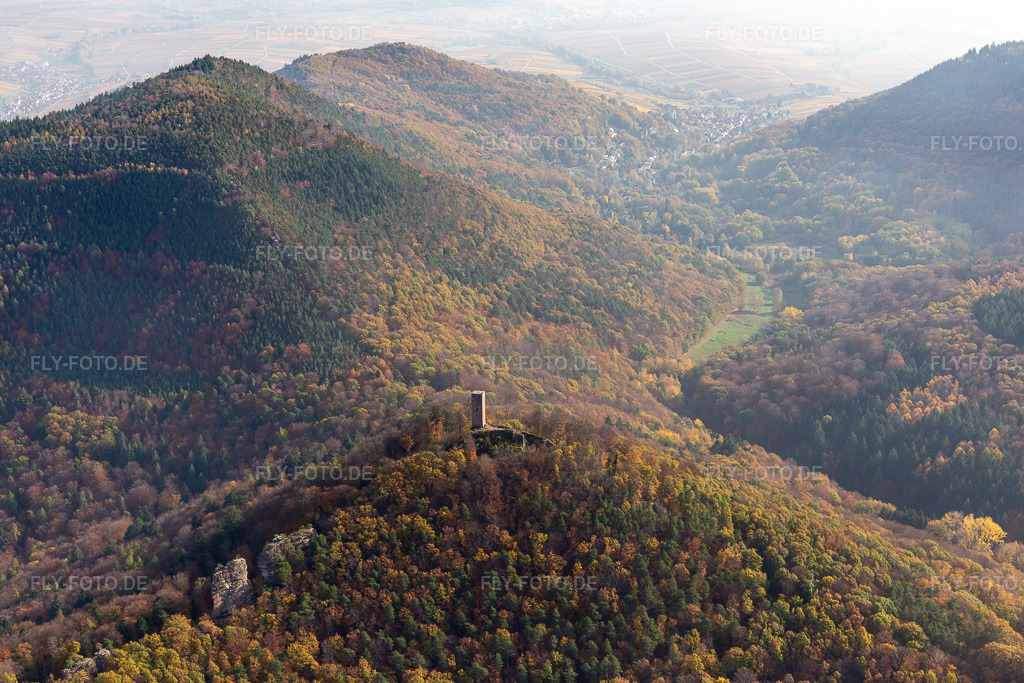 Luftbild: Burgruine Scharfenberg in Leinsweiler im Bundesland Rheinland-Pfalz in Deutschland. Foto: IMG_123712.jpg vom 07.11.2020 durch Werner Riehm/FLY-FOTO.de