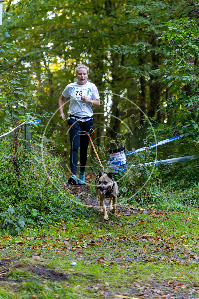 Pfotenfotografie_DV3A7478 | Hundefotografie, Tierfotograf, Pfotenfotografie, Fotoshooting Hund, Hunde Portrait, Hundesport, Hundeportraits, Heideshooting, Hunde, Sportfotograf, Hundefotograf, Turnierhundsport, THS,  - Realisiert mit Pictrs.com