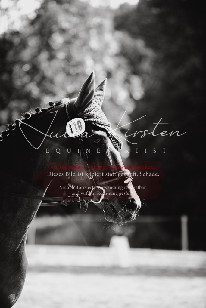 DSC_0355 | Pferde- und Turnierfotografie in Westsachsen. Pferdeportraits, Auftragszeichnungen und intuitive Kunst.