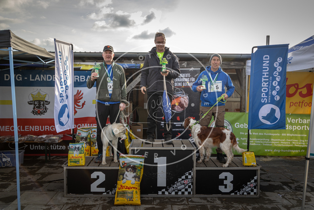 0L8A9280 | Hundefotografie, Tierfotograf, Pfotenfotografie, Fotoshooting Hund, Hunde Portrait, Hundesport, Hundeportraits, Heideshooting, Hunde, Sportfotograf, Hundefotograf, Turnierhundsport, THS,  - Realisiert mit Pictrs.com