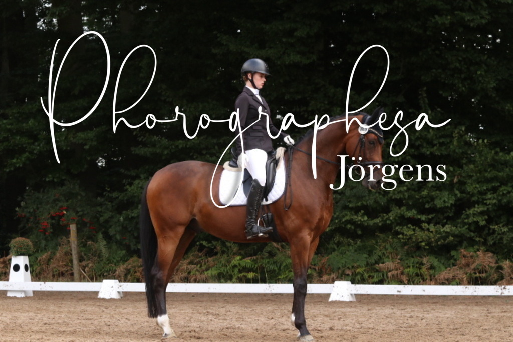 IMG_0048 | photographesa-joergens - Realisiert mit Pictrs.com