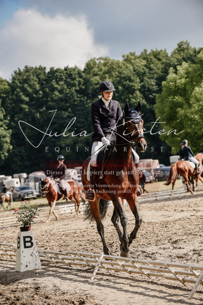 DSC_8804 | Pferde- und Turnierfotografie in Westsachsen. Pferdeportraits, Auftragszeichnungen und intuitive Kunst.