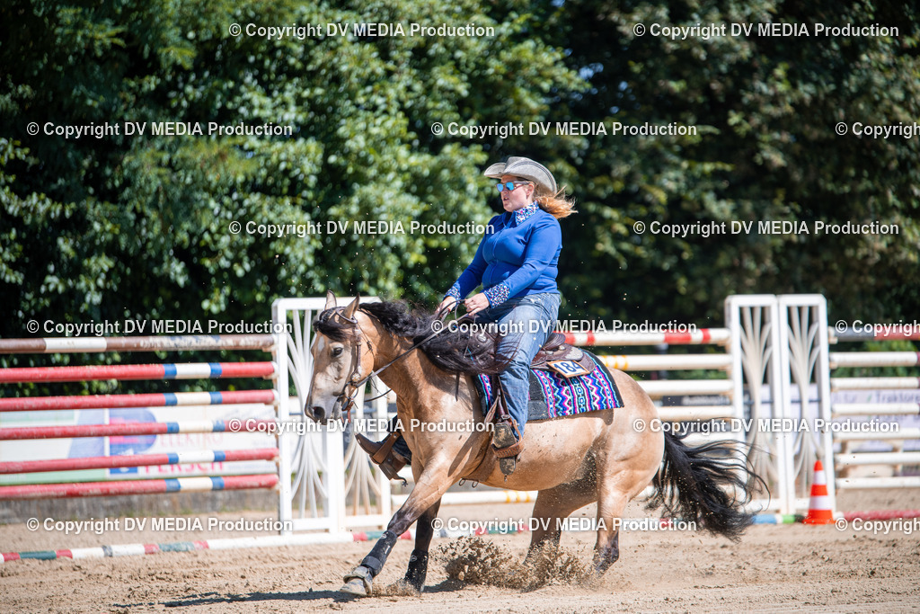 ZS1_0994 | dv-media-shop - Realisiert mit Pictrs.com