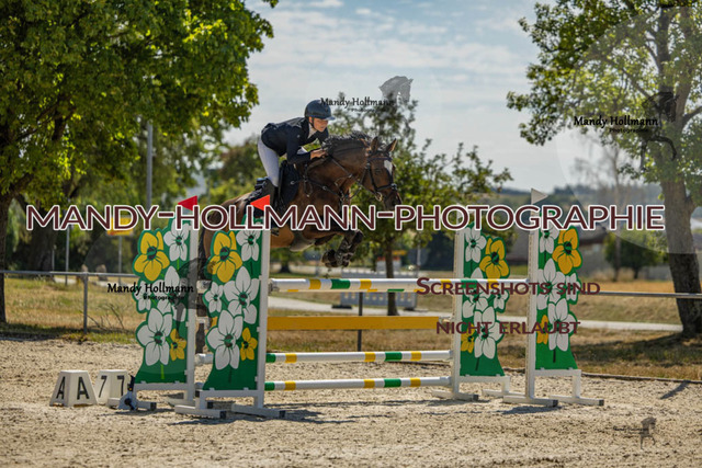 26-7-24 SPF M+-914 | mandyhollmannphotographie