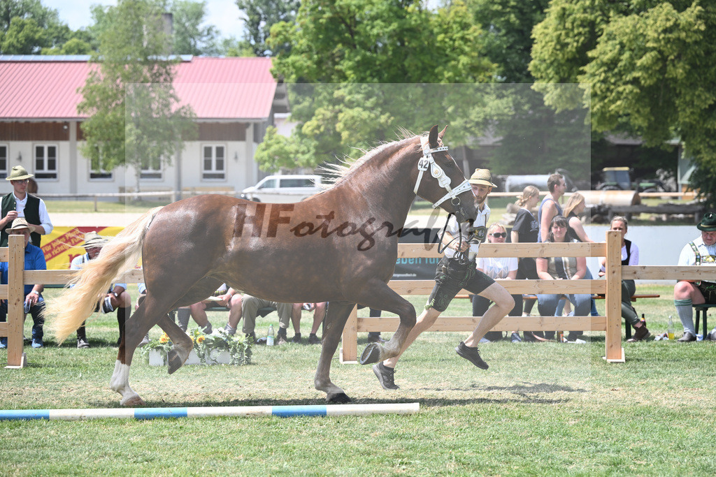 Kat-Nr. 42 Emmeranzia_Ulrich_20230650 | hf-fotografie - Realisiert mit Pictrs.com