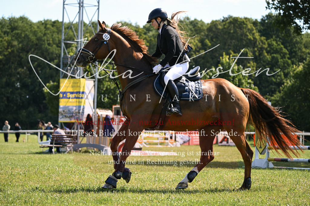 DSC_8868 | Pferde- und Turnierfotografie in Westsachsen. Pferdeportraits, Auftragszeichnungen und intuitive Kunst.