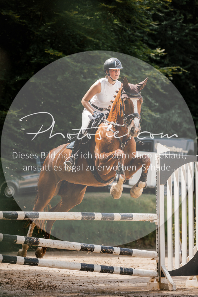 3I6A8063 | Stimmungsvolle Portraits und Reitsportfotografie im Ruhrgebiet und im Münsterland.

Pferdefotografie, Hundefotografie, Tierfotografie, Reportagen, Portraits von Tier und Mensch, Turnierfotografie in Bochum, Recklinghausen, Marl, Haltern am See, Dülmen.. - Realisiert mit Pictrs.com