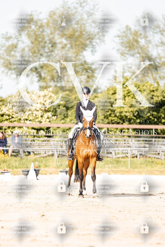 CK900093 | Turnierfotografie Pferdefotografie Trier Rheinland-Pfalz Pferdesport Reitsport Tierfotografie Sportfotografie Pferdevideo Pferdevideografie Equestrianvideography equestrianphotography  - Realisiert mit Pictrs.com