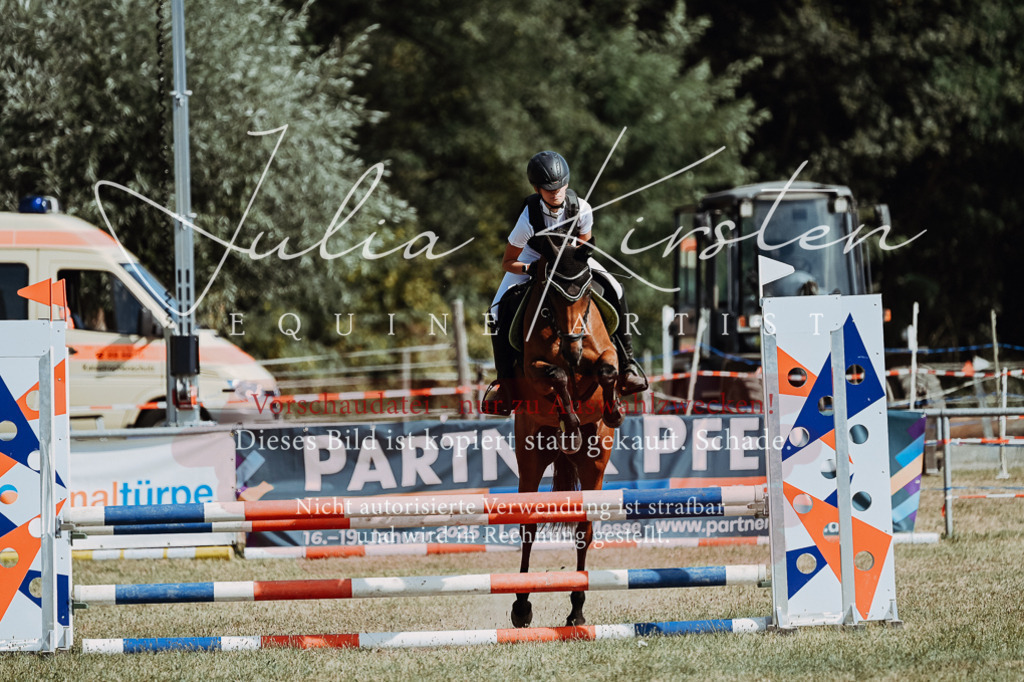 DSC_9412 | Pferde- und Turnierfotografie in Westsachsen. Pferdeportraits, Auftragszeichnungen und intuitive Kunst.