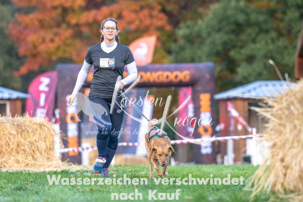 0821_ZZ90439-Bearbeitet | kk-dogfotos
