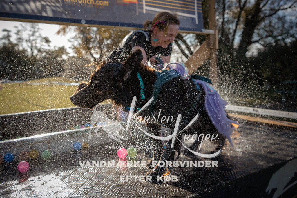 1018_ZZ90257 | kk-dogfotos