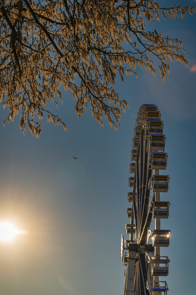 2025_03_19_HH-BUNKER+DOM+ST PAULI_MCP6836 | Hochwertig gedruckte Fotografien für die Wand, als Kalender und zum Verschenken. Hamburg & Norddeutschland und überall wo ich mit der Kamera unterwegs war.