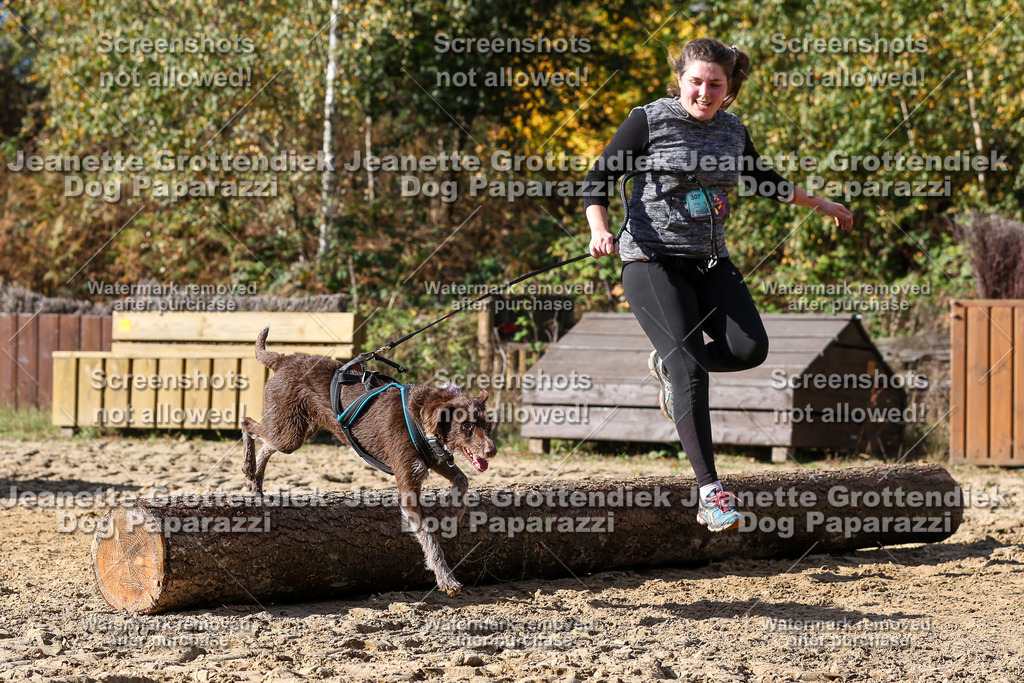 Dog Paparazzi - Strongdog 10-25-4908 | Dog Paparazzi Jeanette Grottendiek Fotografie & Videografie - Realisiert mit Pictrs.com