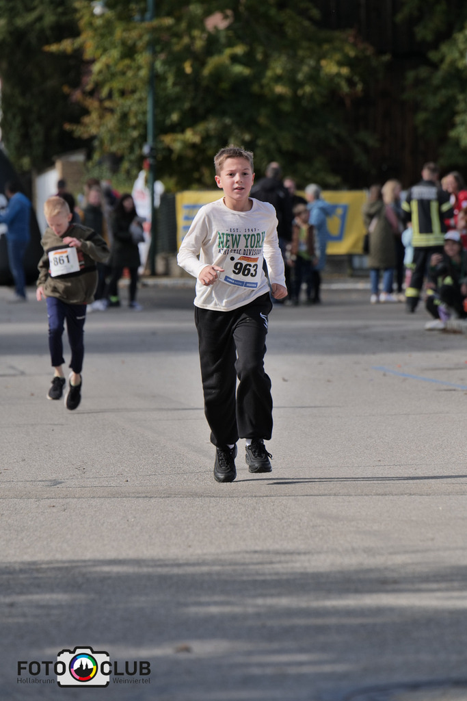 D (498) | Foto Buchgraber