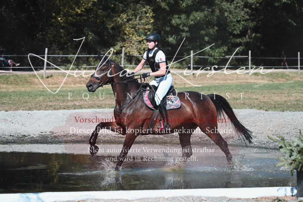 DSC_8573 | Pferde- und Turnierfotografie in Westsachsen. Pferdeportraits, Auftragszeichnungen und intuitive Kunst.