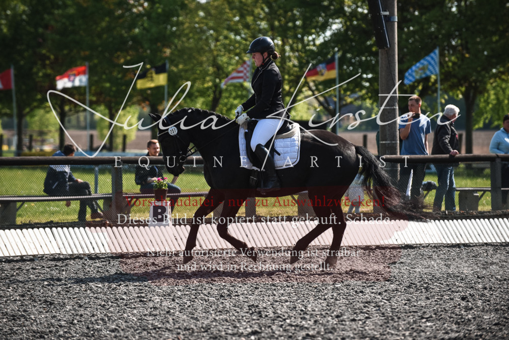 DSC_8811 | Pferde- und Turnierfotografie in Westsachsen. Pferdeportraits, Auftragszeichnungen und intuitive Kunst.
