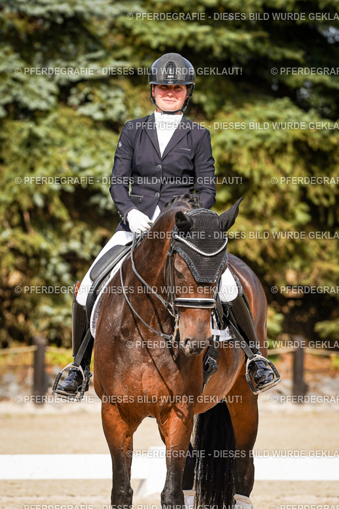 DSC07498 | Pferdegrafie