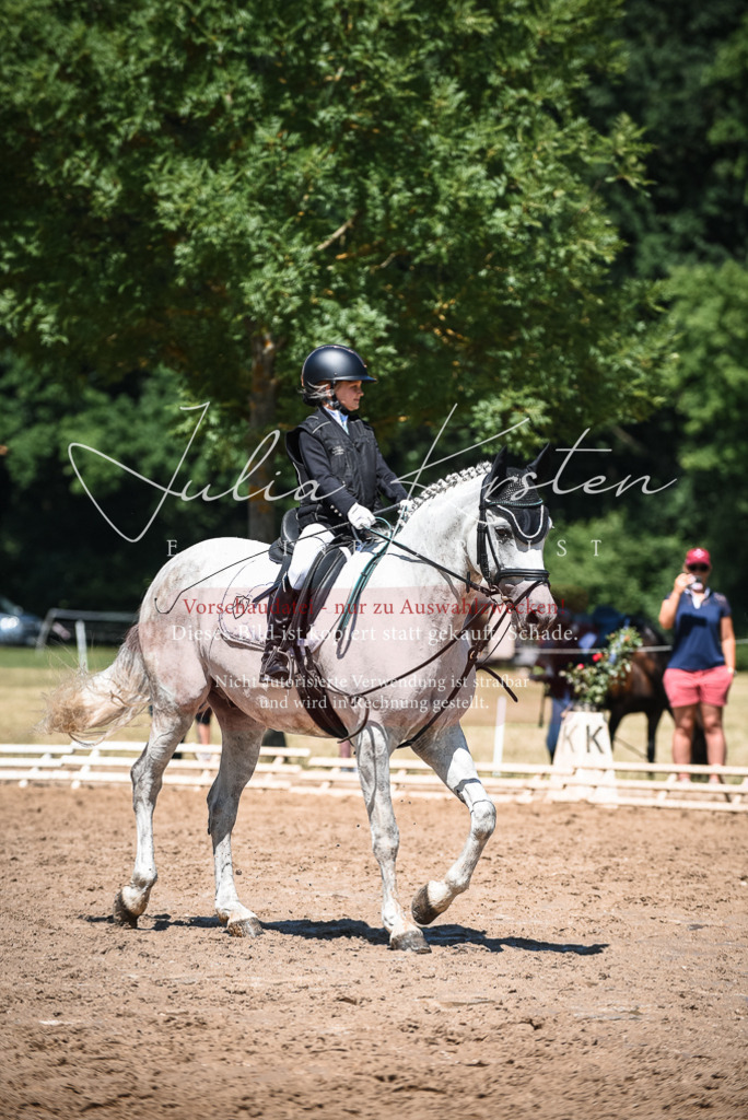 DSC_3090 | Pferde- und Turnierfotografie in Westsachsen. Pferdeportraits, Auftragszeichnungen und intuitive Kunst.