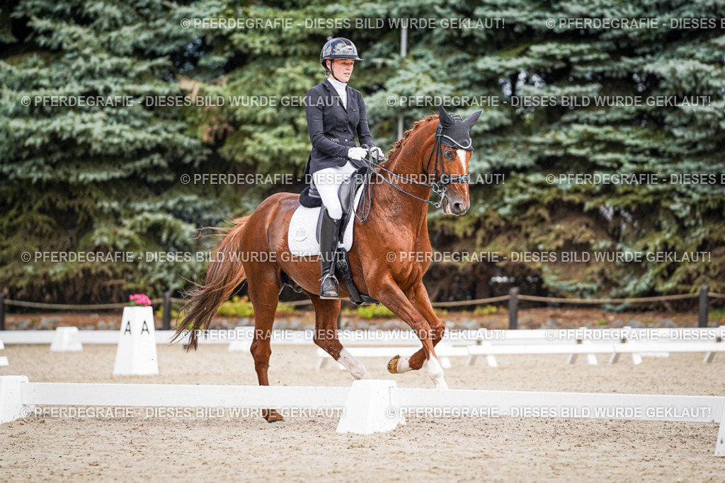 DSC04081 | Pferdegrafie