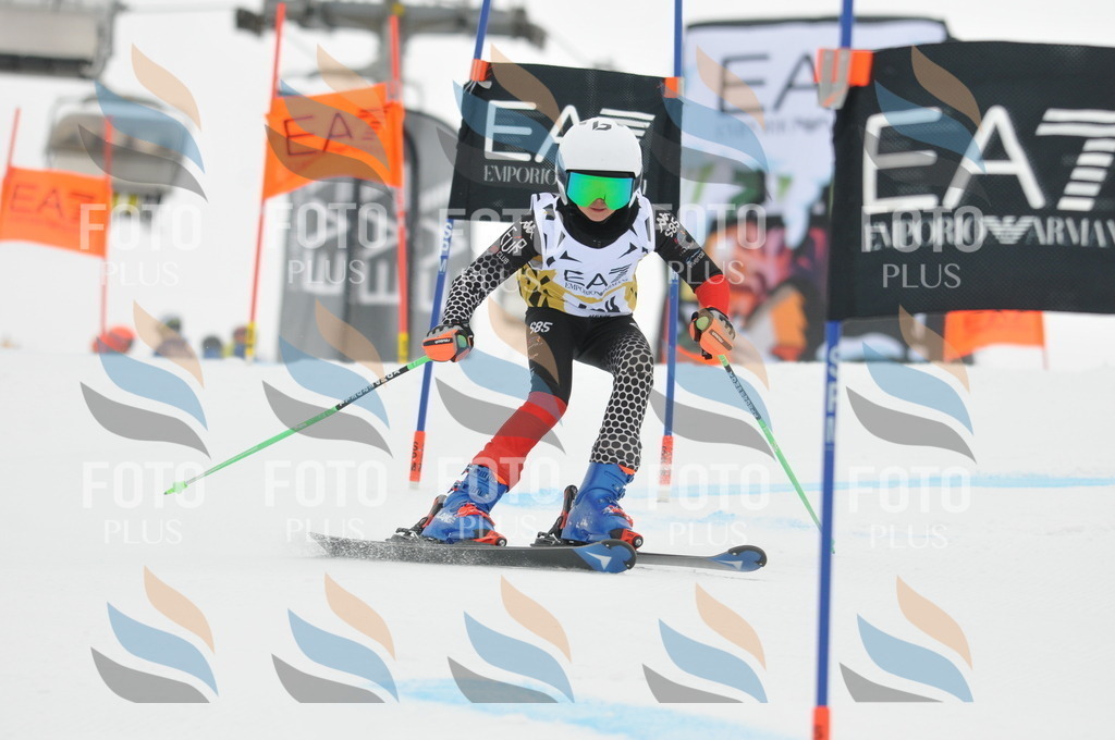 DSC_8245 | holidayphoto