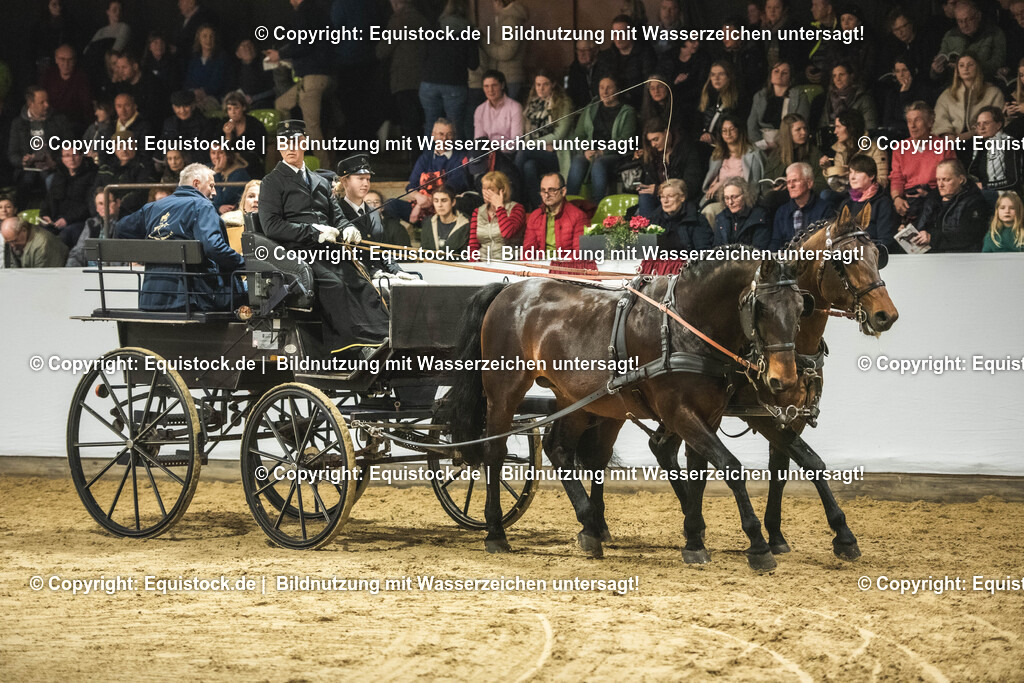 20240302_Hengstvorstellung_Marbach_TOMsPiC_0753 | equistock