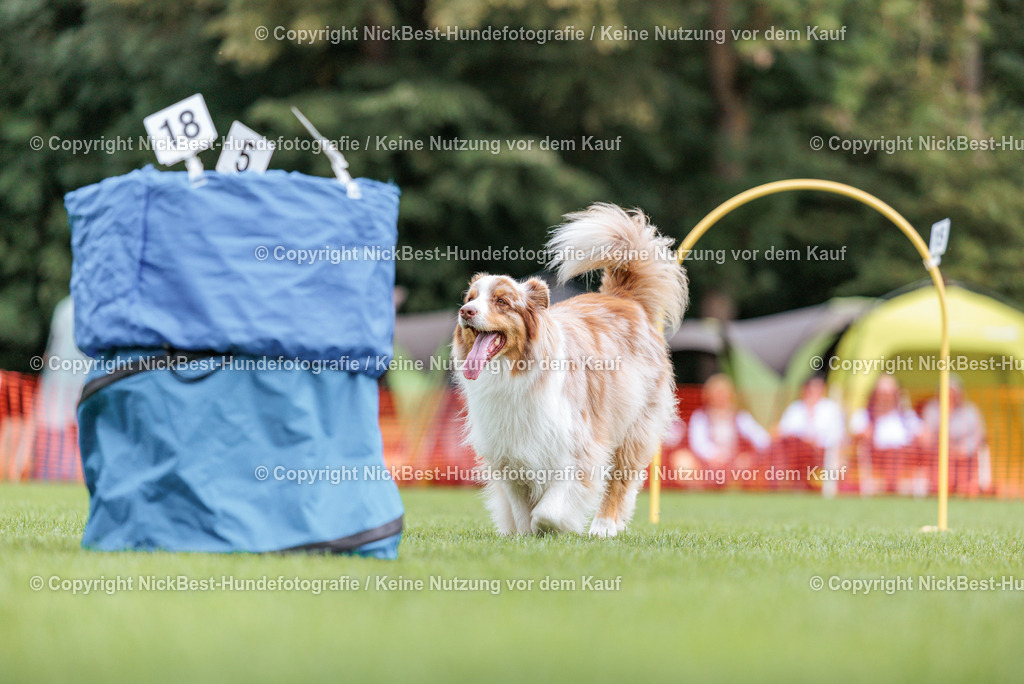 BSP Hoopers-H2 Tag2-2026-Nickbest-Hundefotografie-TuS Komet Arsten e.V.-4053 | Dein Hund! Dein Moment! Deine Erinnerungen! Hundefotografie in Bremen Blumenthal. Ich fange die besonderen Momente deines Vierbeiners ein – ob Indoor mit Blitzanlage oder in der freien Natur. Sicher dir dein Moment und dein Termin für eure Erinnerungen.