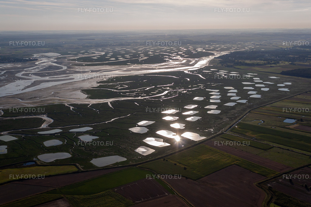 Vue aérienne: Delta et estuaire de la Somme avec bassins d'aquaculture en Picardie à Saint-Valery-sur-Somme dans le département Somme, France. Photo: IMG_70972.jpg prise le 24/08/2014 par Werner Riehm/FLY-FOTO.euRésolution de l'original: 4553 x 3035 px