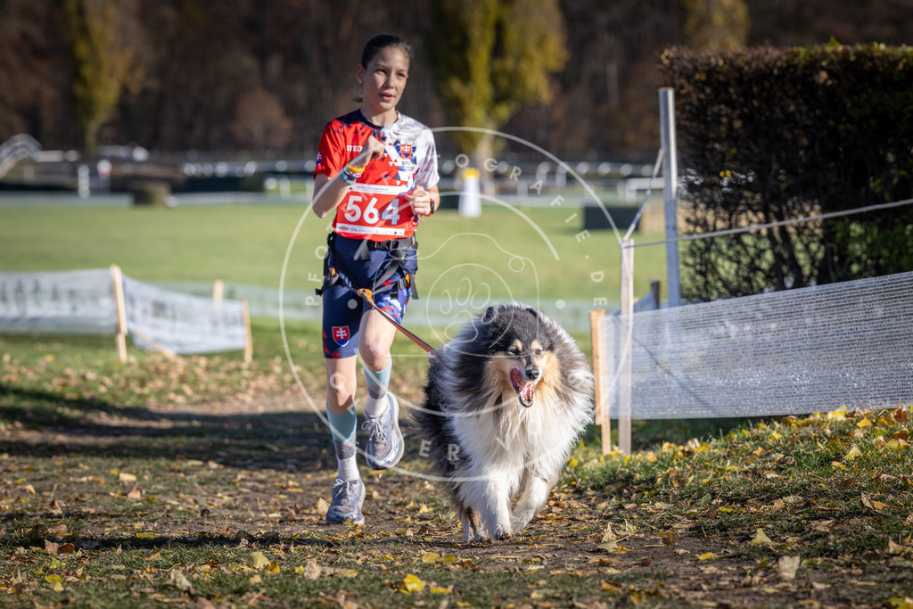 CaniXpix_DV3A8756 | Hundefotografie, Tierfotograf, Pfotenfotografie, Fotoshooting Hund, Hunde Portrait, Hundesport, Hundeportraits, Heideshooting, Hunde, Sportfotograf, Hundefotograf, Turnierhundsport, THS,  - Realisiert mit Pictrs.com