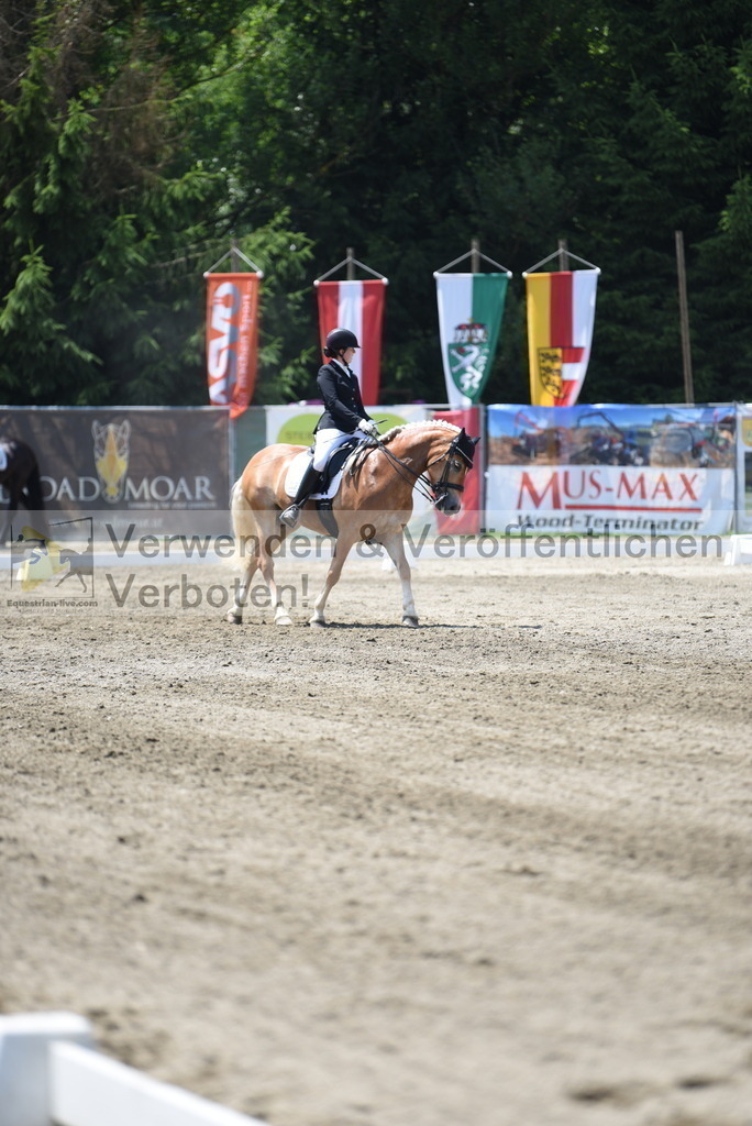 DSC_0346 | equestrian-live-com