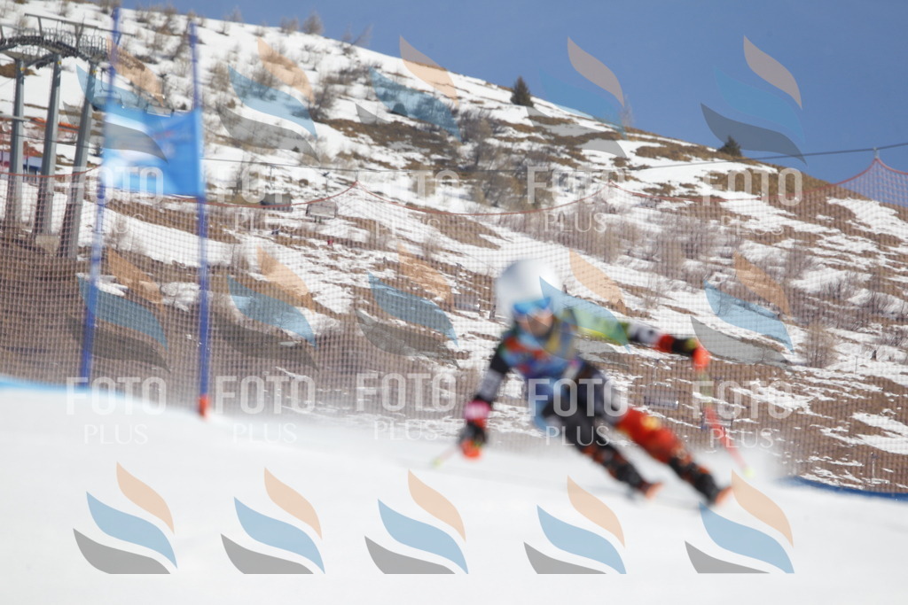 _U3G8602 | holidayphoto