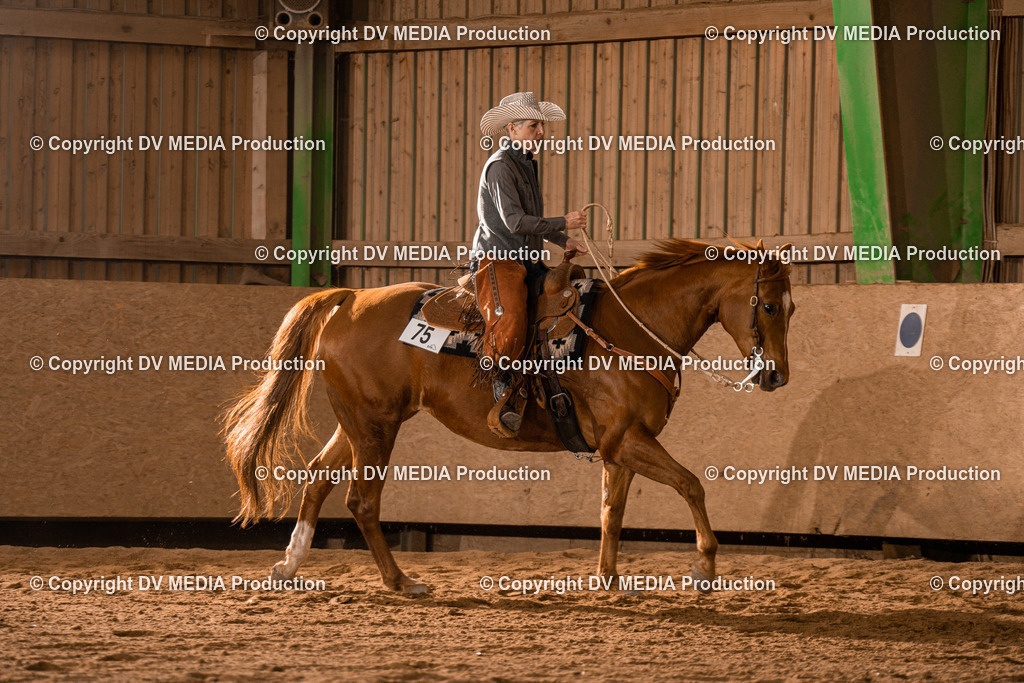 BA400458 | dv-media-shop - Realisiert mit Pictrs.com