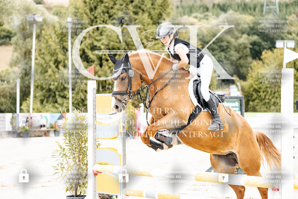 CK907820 | Turnierfotografie Pferdefotografie Trier Rheinland-Pfalz Pferdesport Reitsport Tierfotografie Sportfotografie Pferdevideo Pferdevideografie Equestrianvideography equestrianphotography  - Realisiert mit Pictrs.com