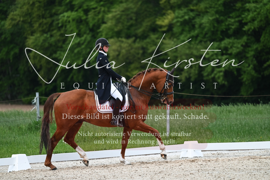 20230513_JK-Röhrsdorf-13-644 | Pferde- und Turnierfotografie in Westsachsen. Pferdeportraits, Auftragszeichnungen und intuitive Kunst.