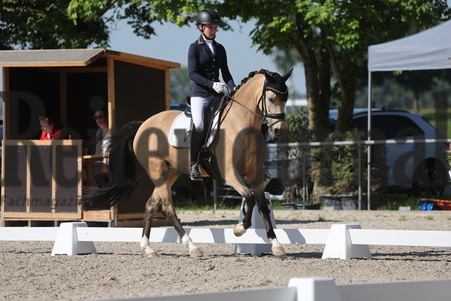 Rot am See_2024_SD-Ponymeisterschaften_Prfg.Nr.02_Dressurprfg.Kl.L_Julia Schnickmann_Movie_s Starlight (5) | Alle Fotos der Reiterjournal Fotografin Doris Matthaes im Reiterjournal Online-Fotoshop. - Realisiert mit Pictrs.com