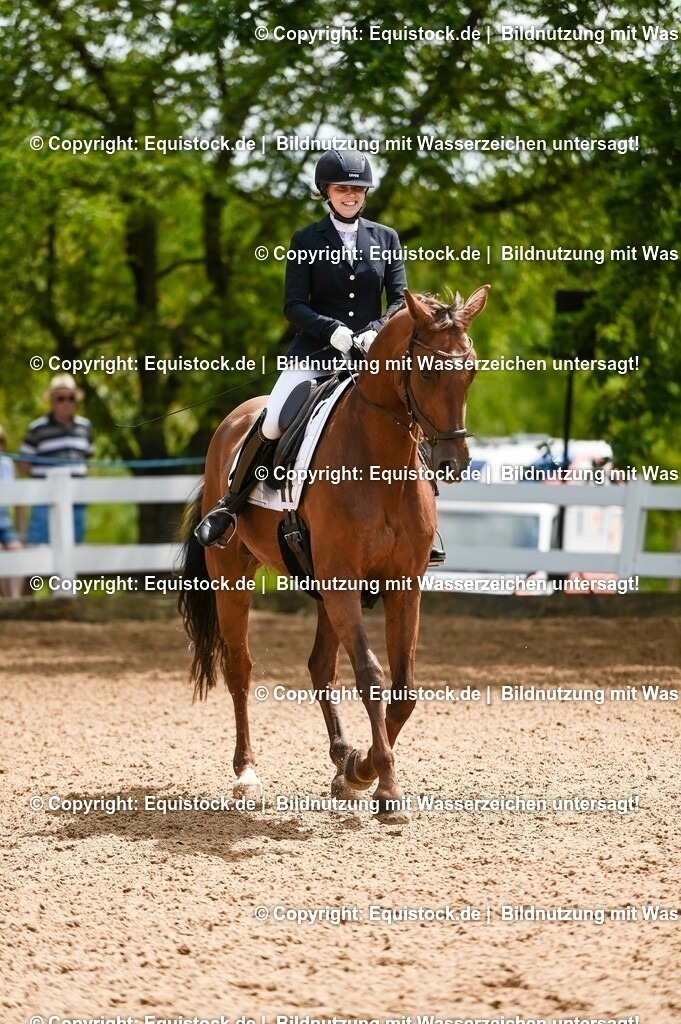 20230716_03_Dressurprfg. Kl.L - Tr._0401 | equistock