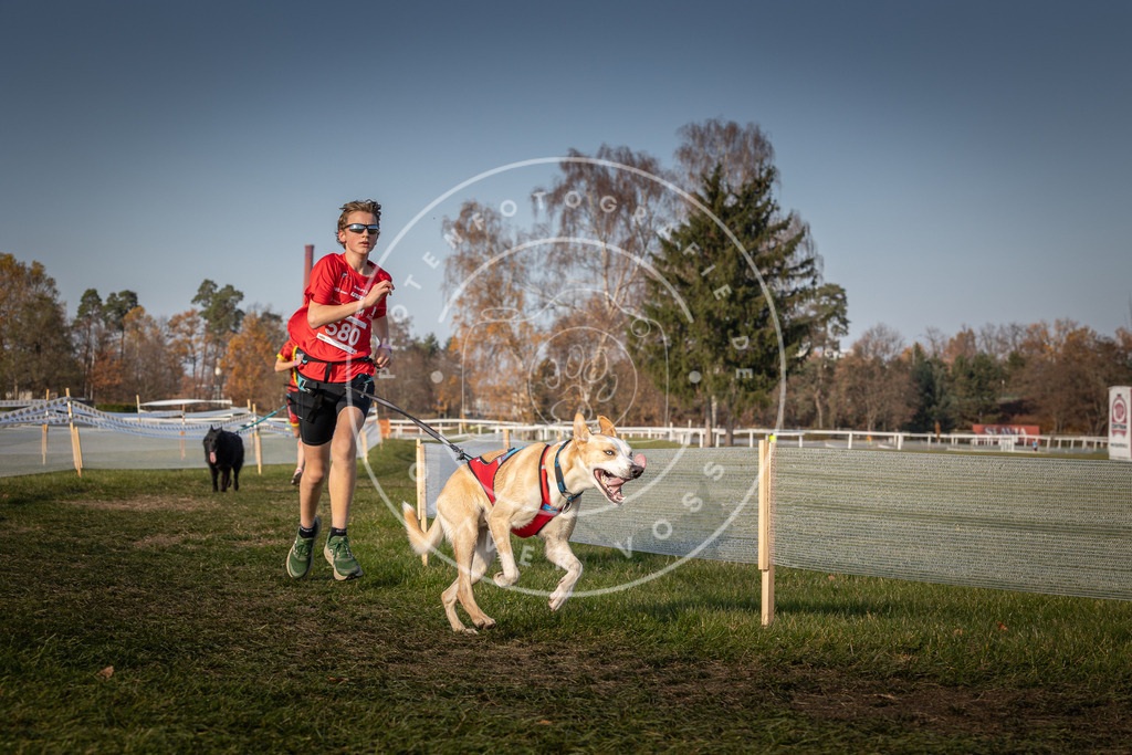 CaniXpix_0L8A9643 | Hundefotografie, Tierfotograf, Pfotenfotografie, Fotoshooting Hund, Hunde Portrait, Hundesport, Hundeportraits, Heideshooting, Hunde, Sportfotograf, Hundefotograf, Turnierhundsport, THS,  - Realisiert mit Pictrs.com