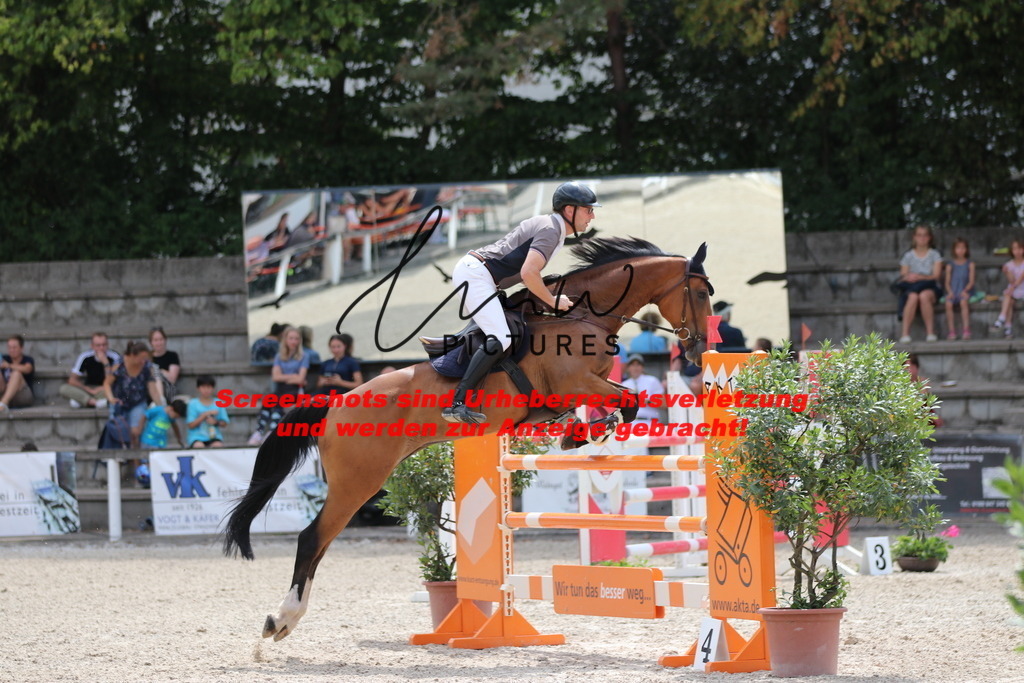 IMG_0352 | lmwpictures - Realisiert mit Pictrs.com