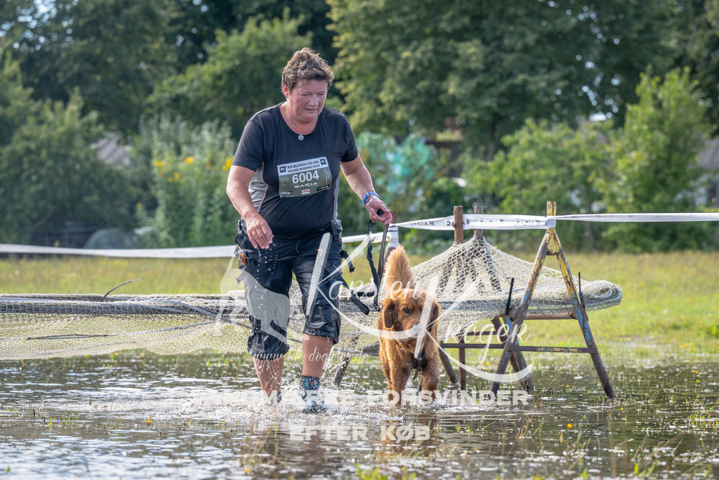 1213_ZZ93019 | kk-dogfotos