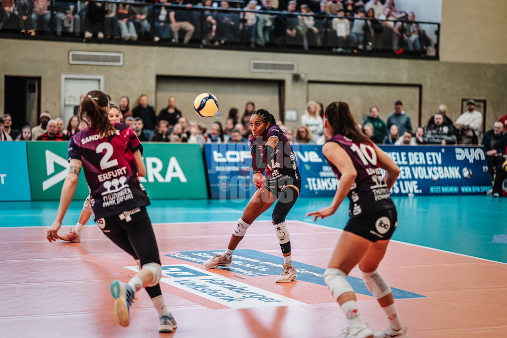 Volleyball | Frauen | Saison 2025/2026 | Volleyball Bundesliga | ETV Hamburger Volksbank Volleys vs. Schwarz-Weiß Erfurt | 15.02.2026 | Alianza Darley (#14, Schwarz-Weiß Erfurt) nimmt den Ball an