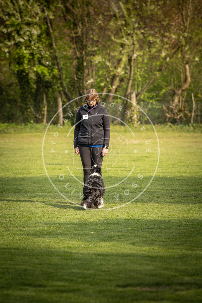 Pfotenfotografie_DV3A4880 | Hundefotografie, Tierfotograf, Pfotenfotografie, Fotoshooting Hund, Hunde Portrait, Hundesport, Hundeportraits, Heideshooting, Hunde, Sportfotograf, Hundefotograf, Turnierhundsport, THS,  - Realisiert mit Pictrs.com