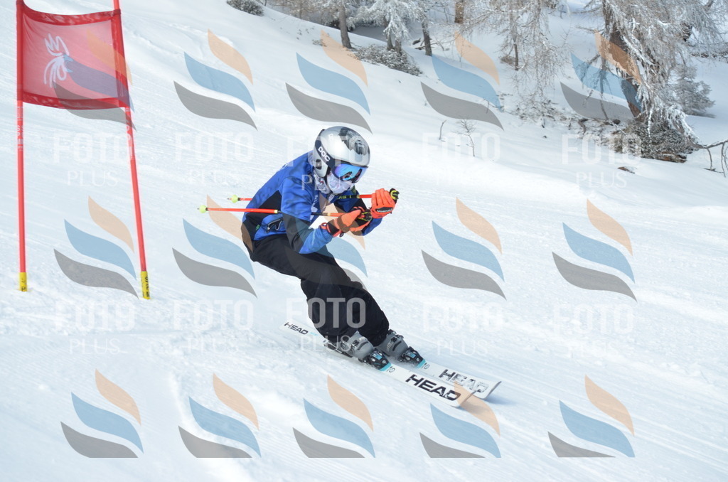 D8891 | holidayphoto