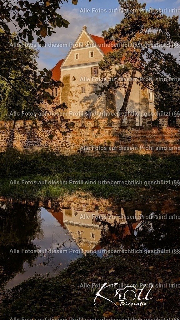 Photo_1727203773849 | krollfotografie - Realisiert mit Pictrs.com