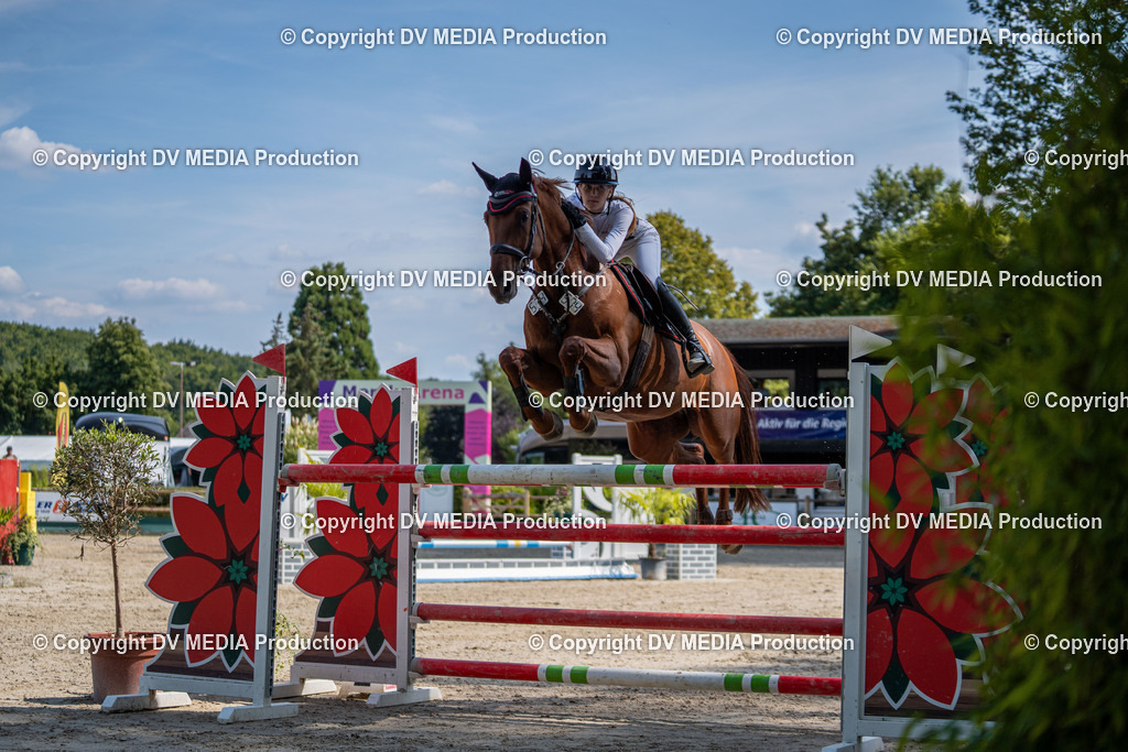 Hessische Tag 1-1611 | dv-media-shop - Realisiert mit Pictrs.com