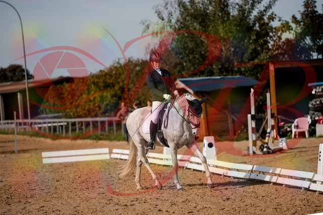 2026_10_03_Siefer-Hof_122717_Z63_48317087 | Professionelle Reitsport-, Turnier- und Eventfotografie von Robert Broda. Galerien mit ausgewählten und bearbeiteten Bildern direkt online ansehen und bestellen.