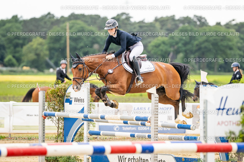 DSC06158 | Pferdegrafie