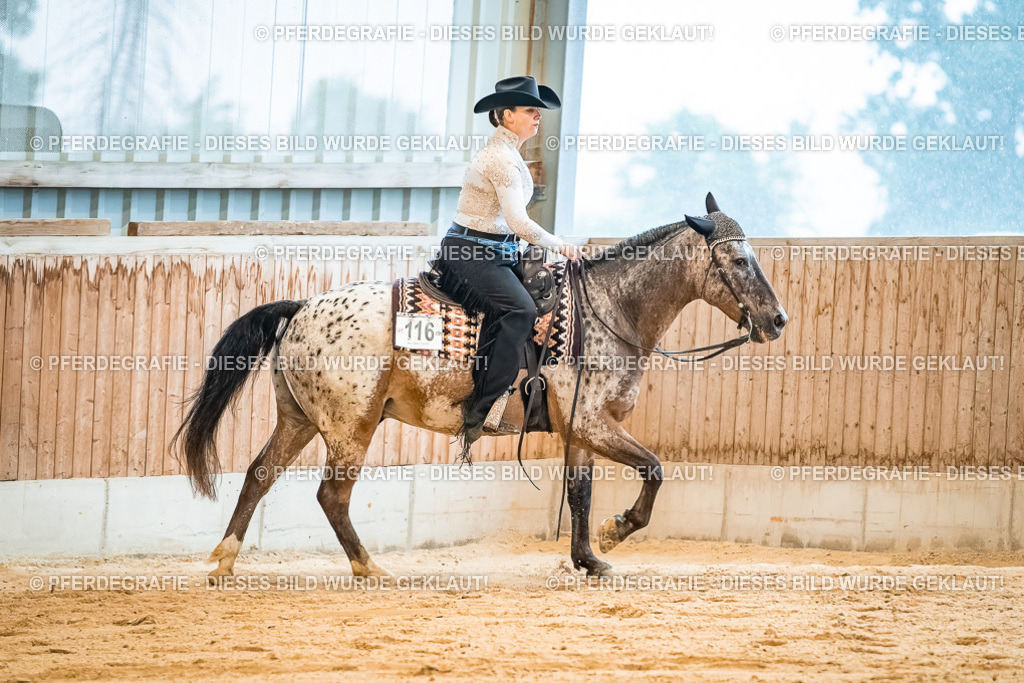 DSC00310 | Pferdegrafie