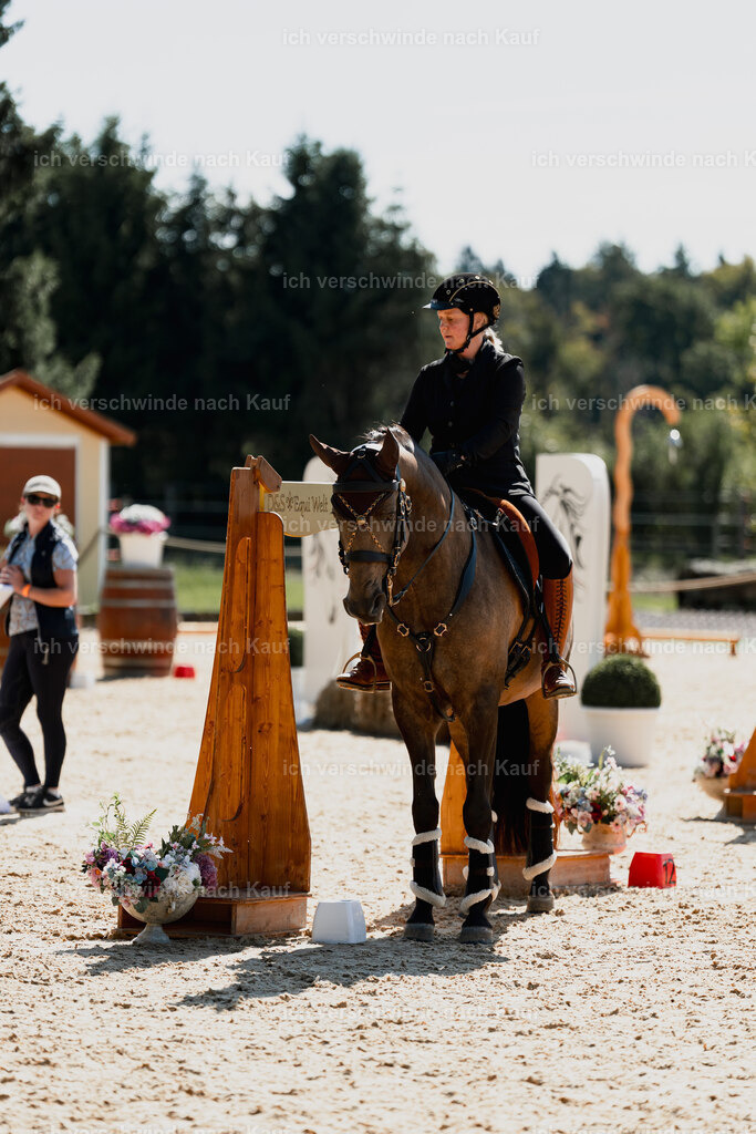 Katja7_FHC2025-08992 | working equitationturnier fotograf videograf stoibphotography marixx film working equitation deutschland reitsport turnierfotografie eventfotografie equestrian events