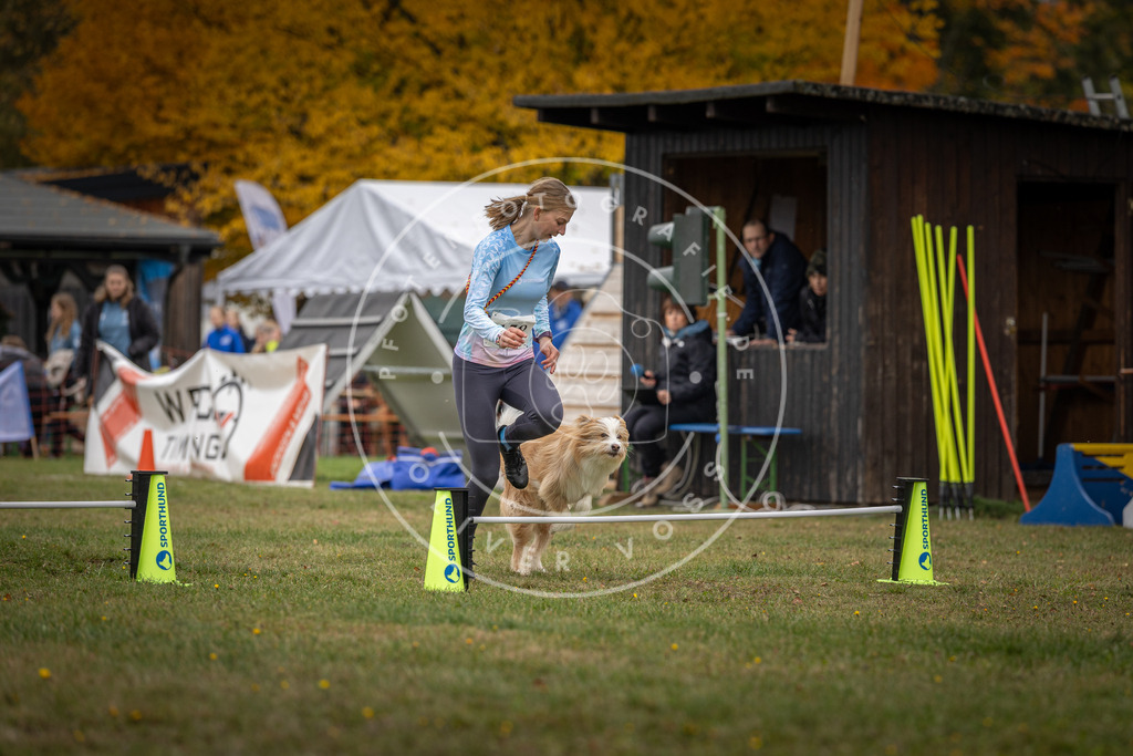 Pfotenfotografie_DV3A4911 | Hundefotografie, Tierfotograf, Pfotenfotografie, Fotoshooting Hund, Hunde Portrait, Hundesport, Hundeportraits, Heideshooting, Hunde, Sportfotograf, Hundefotograf, Turnierhundsport, THS,  - Realisiert mit Pictrs.com