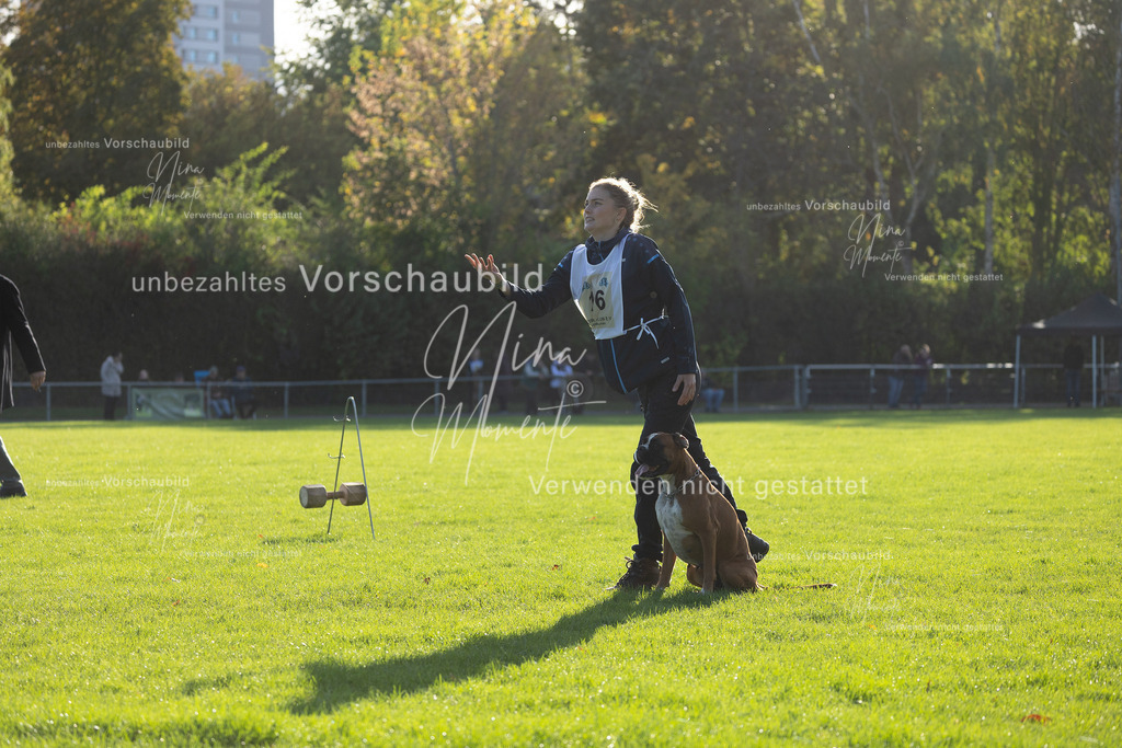 _16A4805 | Einzigartige Fotos von Hunden & Menschen –Actionfotos, Portraits, Vereinsaufnahmen & Paarshootings – authentisch, lebendig & mit Herz.